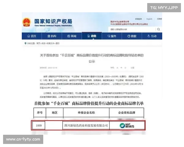 体育知识产权保护助力赛事品牌价值全面提升与可持续发展 体育知识产权保护助力赛事品牌价值全面提升与可持续发展